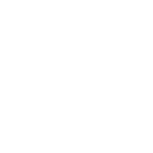 FMF Automobile Bindlach Logo